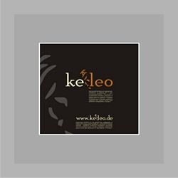 Логотип ''Keleo technology''